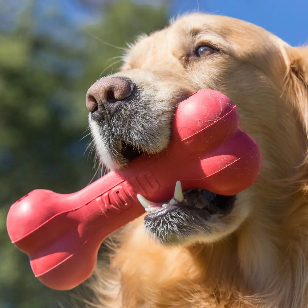 KONG Durable Rubber Chew Bone