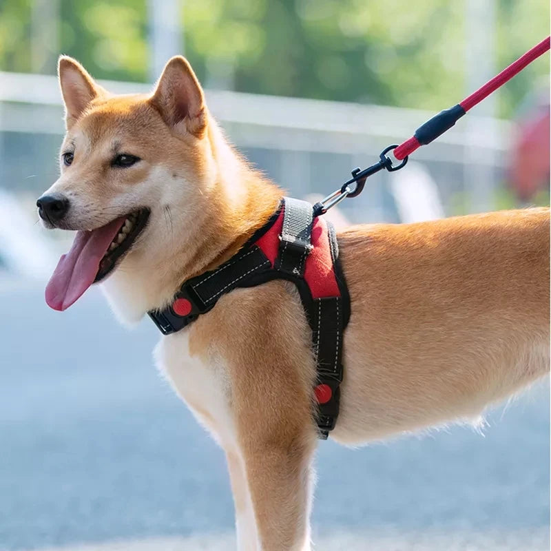 Dog Adjustable Harness