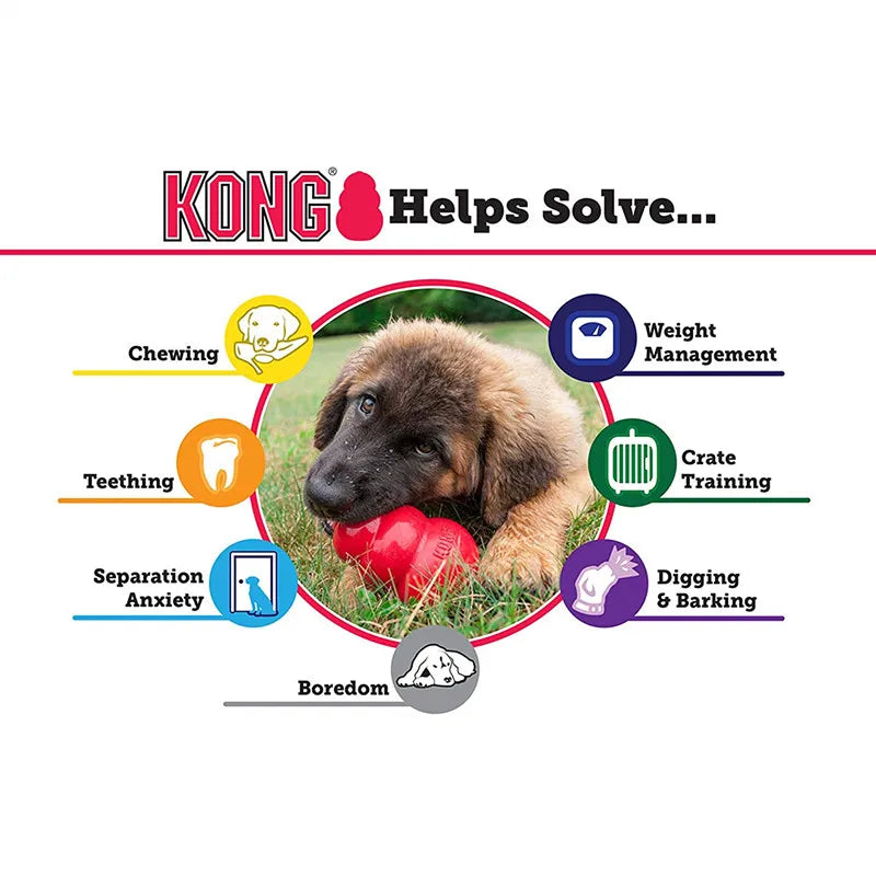 KONG Natural Rubber Dog Chew Toy