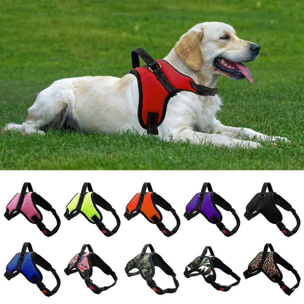 Dog Adjustable Harness