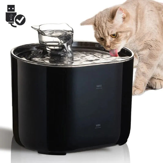 Cat Water Fountain