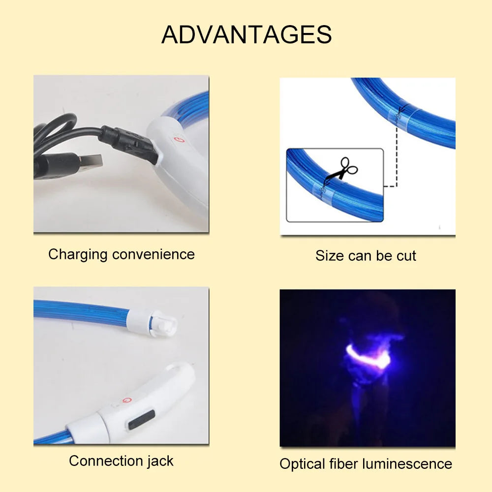 Led Light Collar