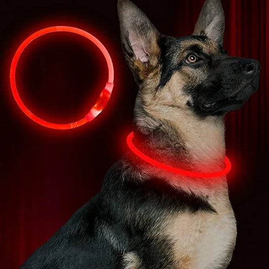 Led Light Collar