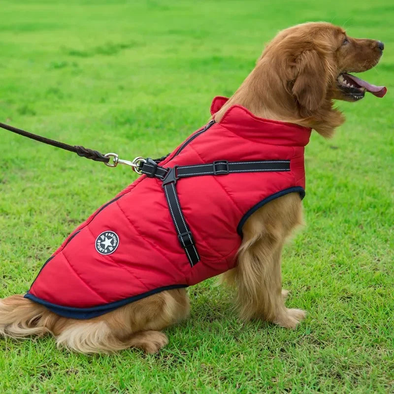 Waterproof Dog Coat with Harness