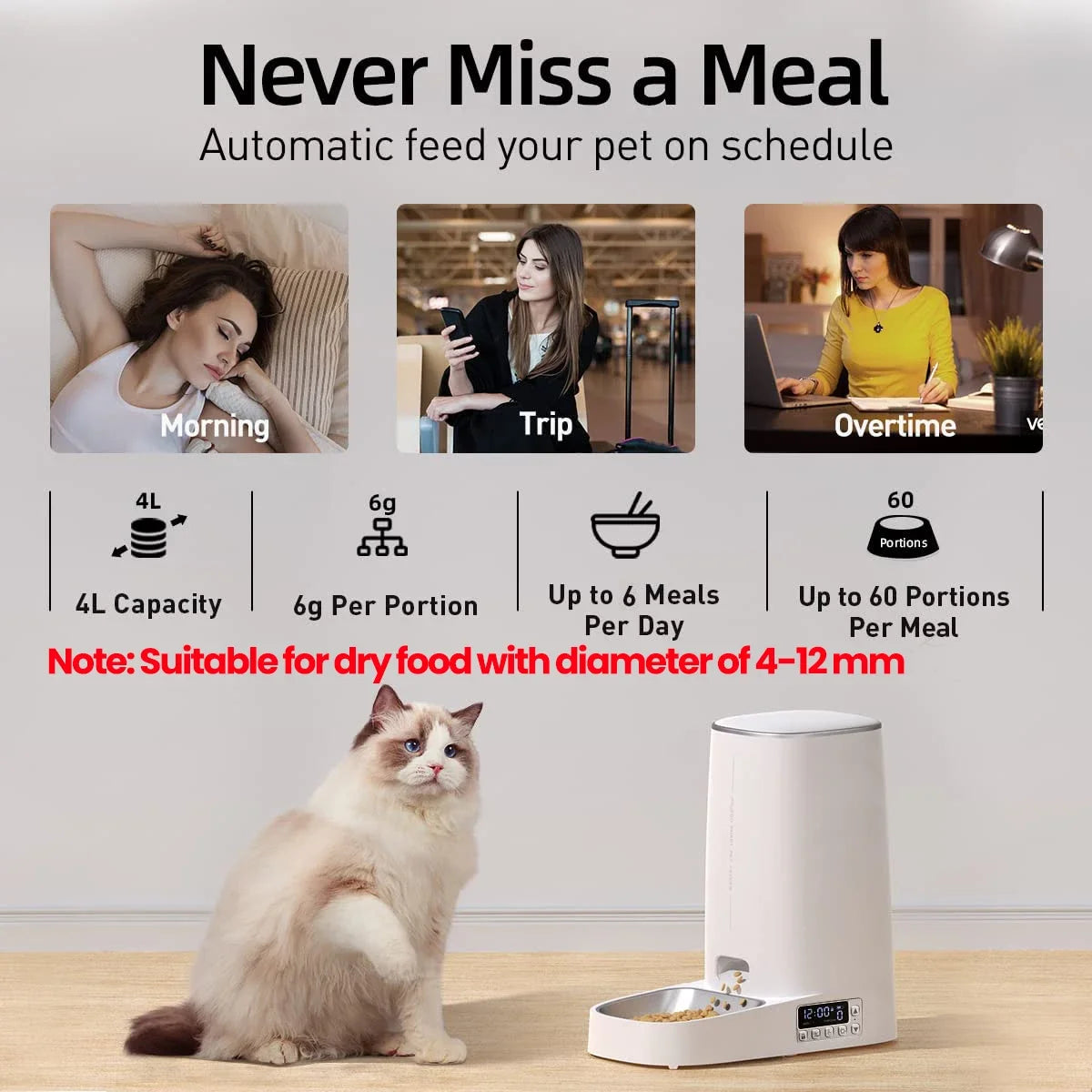 Automatic Cat Feeder