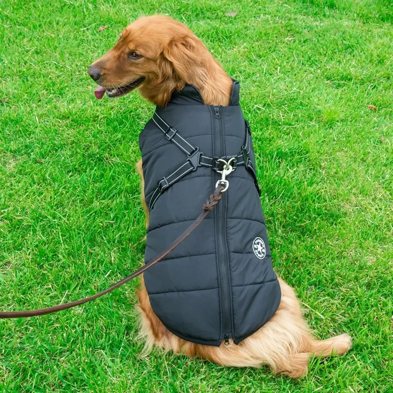 Waterproof Dog Coat with Harness