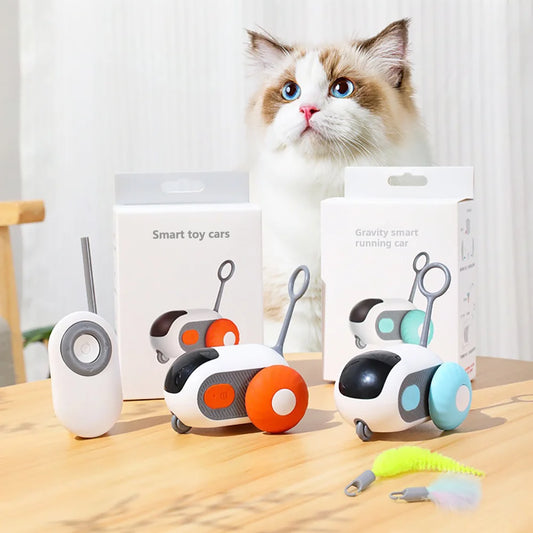 Electric Remote Control Car Toy for Cats